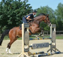 Is Horseback Riding a Good Workout?